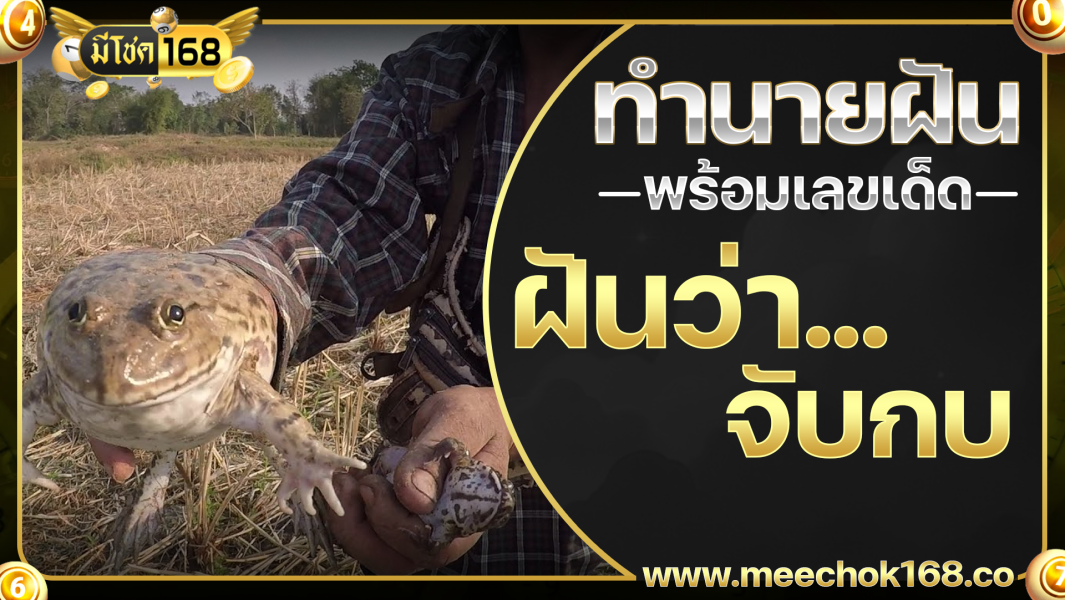 ฝันว่าจับกบ